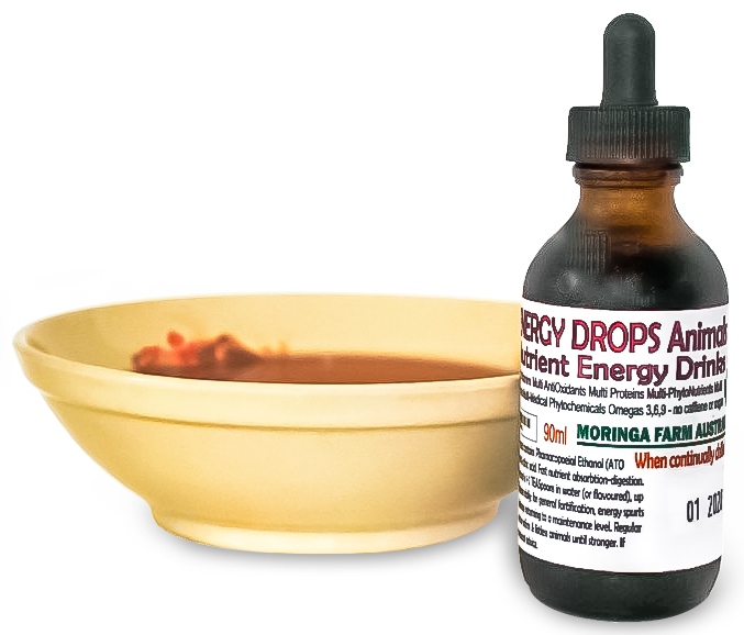AUSTRALIAN Moringa concentrated DROPS - Dogs, Horses, Ailing Animals ENERGY NUTRIENT Drink 90 ml